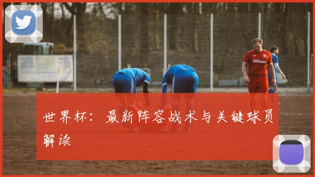 世界杯：最新阵容战术与关键球员解读